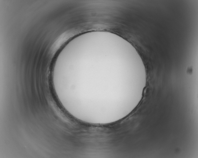 X0000116290242200912211846