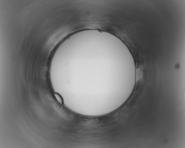 X0000116290243200912211846