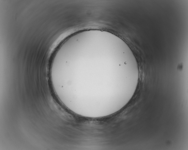 X0000116290244200912211846