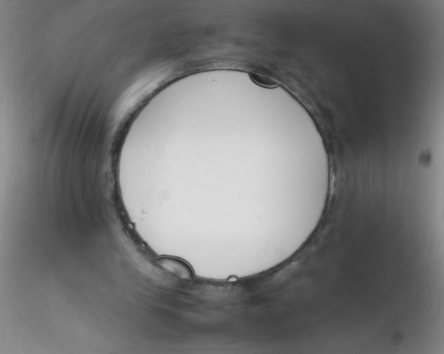 X0000116290245200912211846