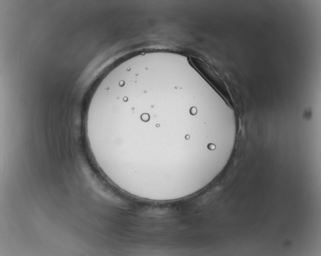 X0000116290247200912211846