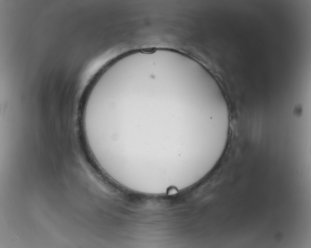 X0000116290248200912211846