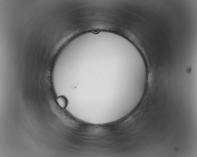 X0000116290249200912211846