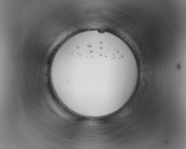 X0000116290250200912211846