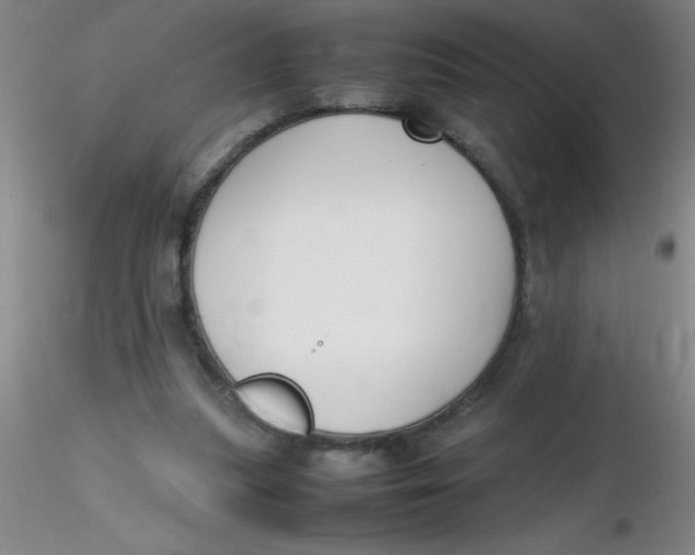 X0000116290251200912211846