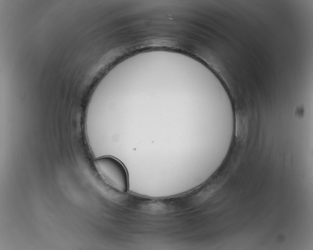 X0000116290253200912211846