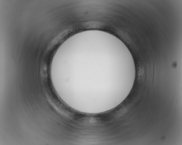 X0000116290254200912211846