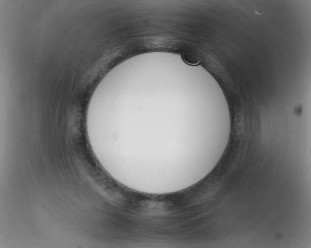 X0000116290255200912211846