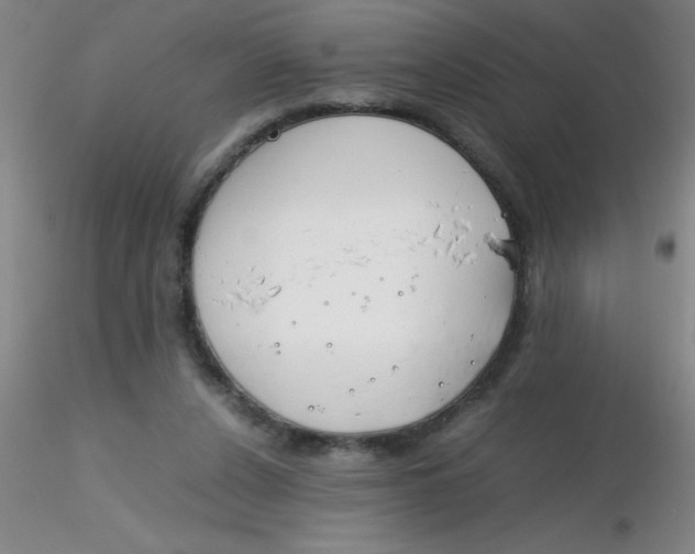 X0000116290256200912211846