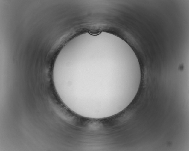 X0000116290258200912211846