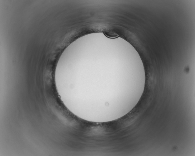 X0000116290259200912211846