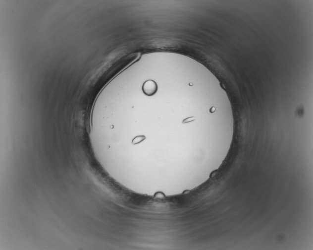 X0000116290260200912211846