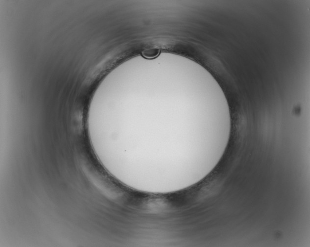 X0000116290262200912211847