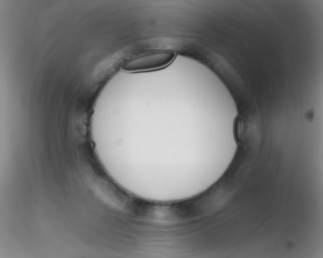 X0000116290264200912211847