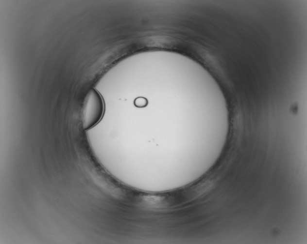 X0000116290265200912211847