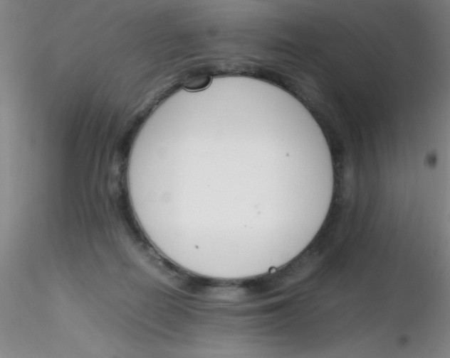 X0000116290266200912211847