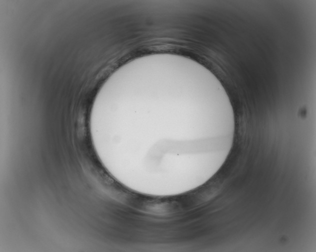 X0000116290267200912211847