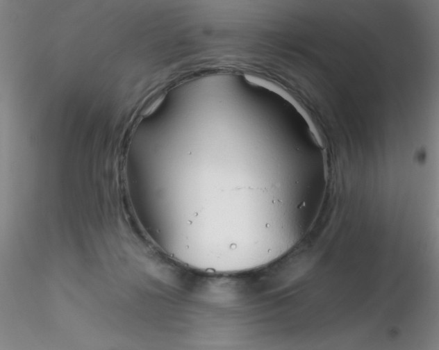 X0000116290268200912211847