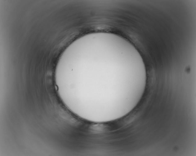 X0000116290269200912211847