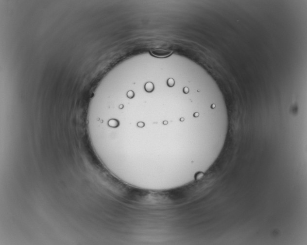 X0000116290270200912211847