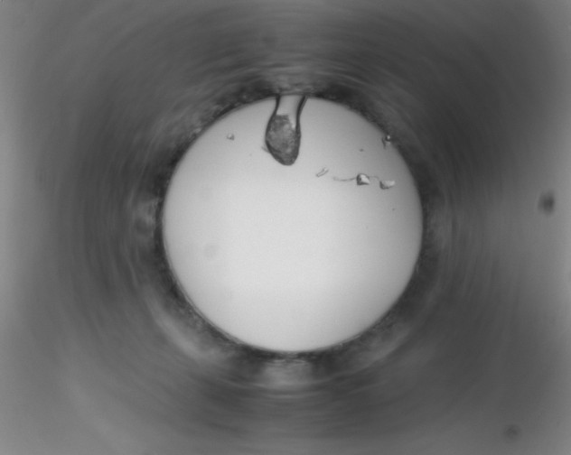 X0000116290271200912211847