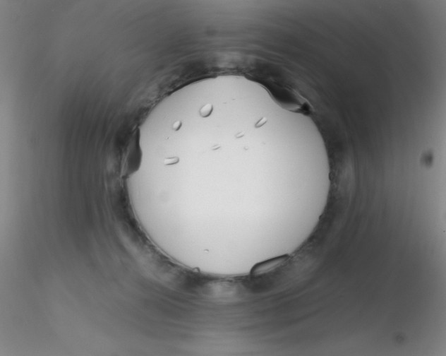 X0000116290272200912211847