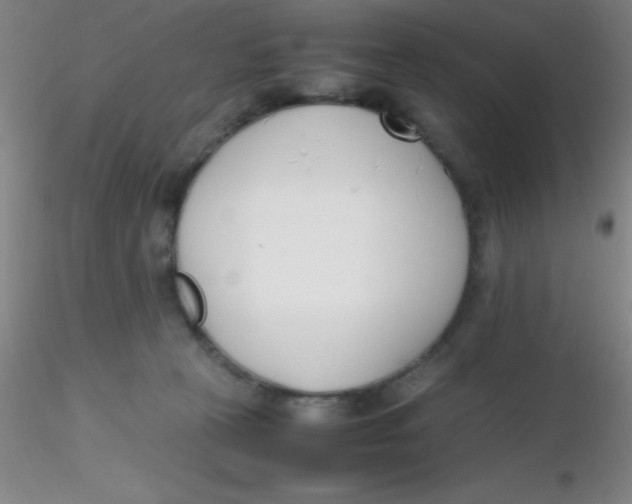 X0000116290273200912211847