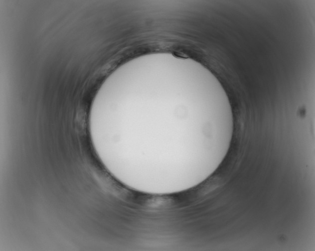 X0000116290274200912211847