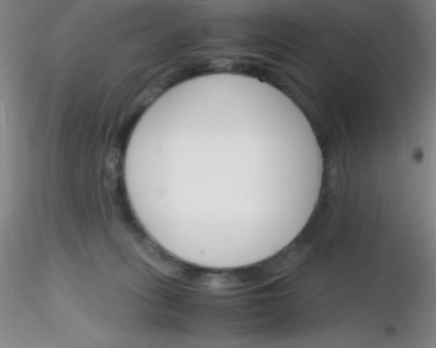 X0000116290275200912211847