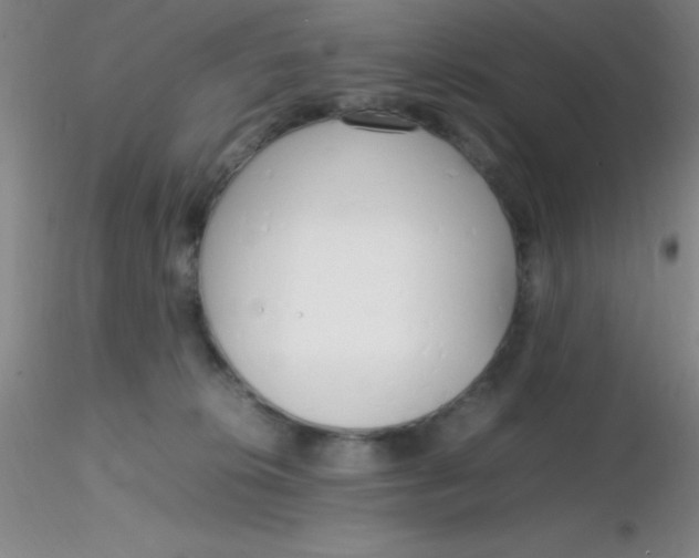 X0000116290276200912211847