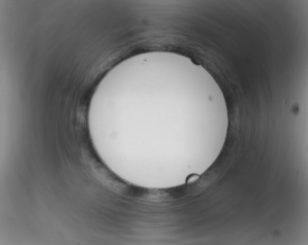 X0000116290278200912211847