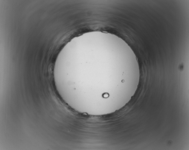 X0000116290280200912211847