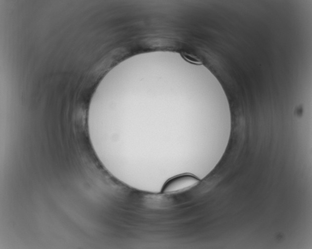 X0000116290281200912211847