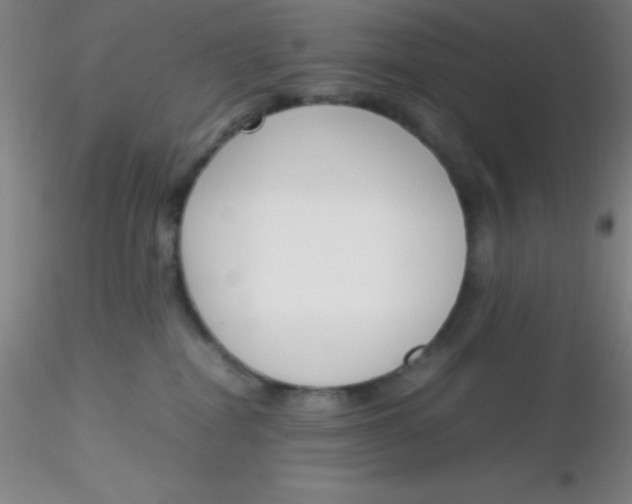 X0000116290282200912211847