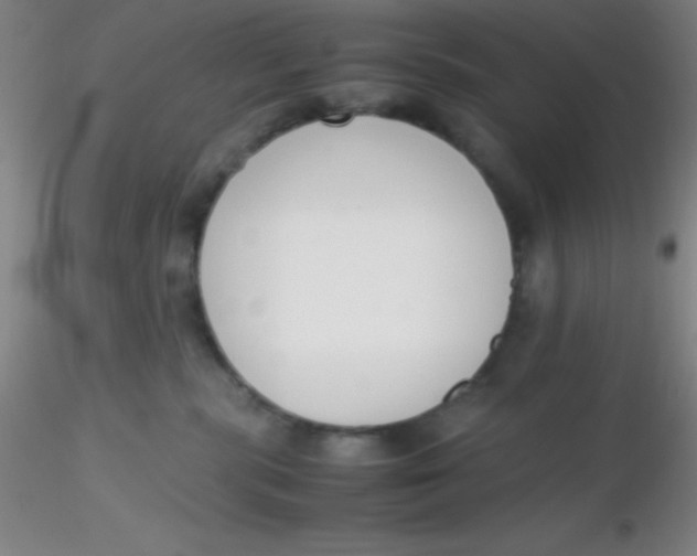 X0000116290283200912211847