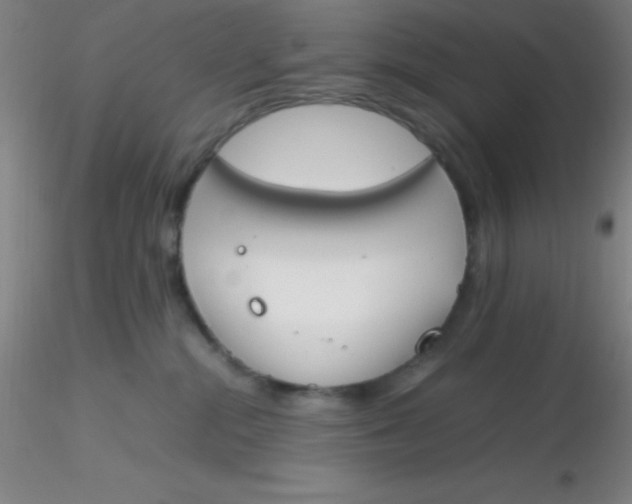 X0000116290284200912211847