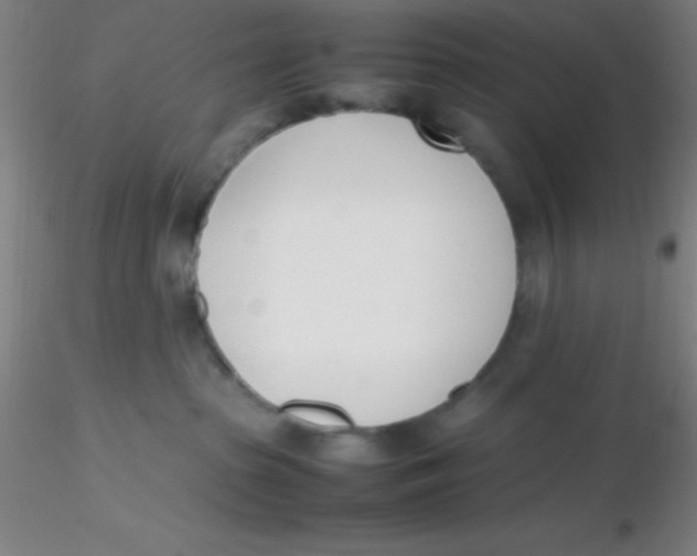 X0000116290285200912211847