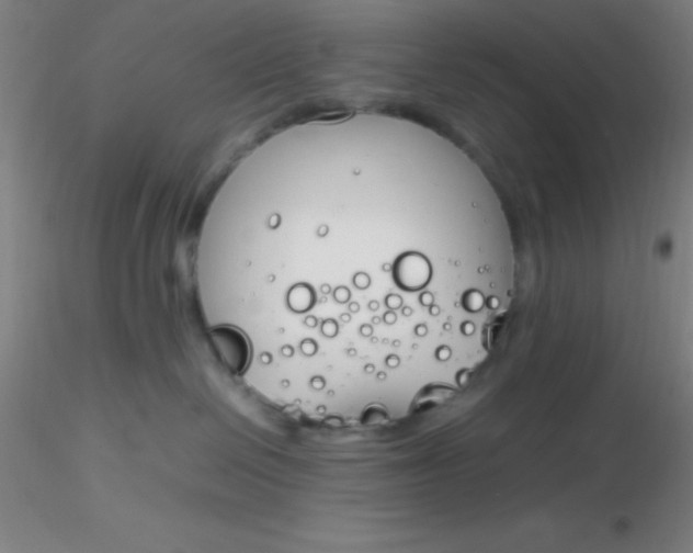 X0000116290286200912211847