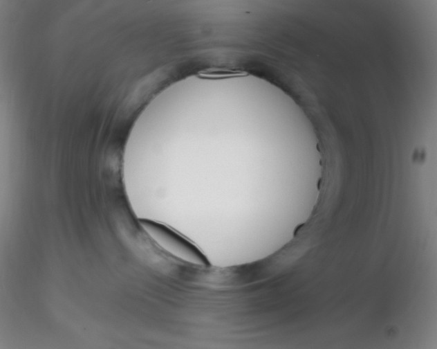 X0000116290288200912211847