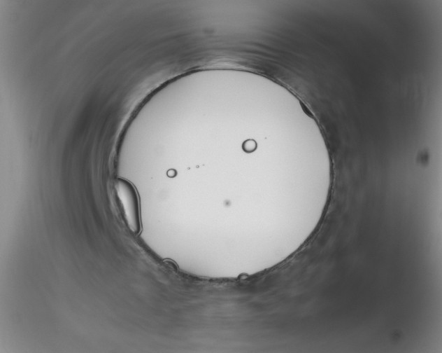 X0000116290289200912211846