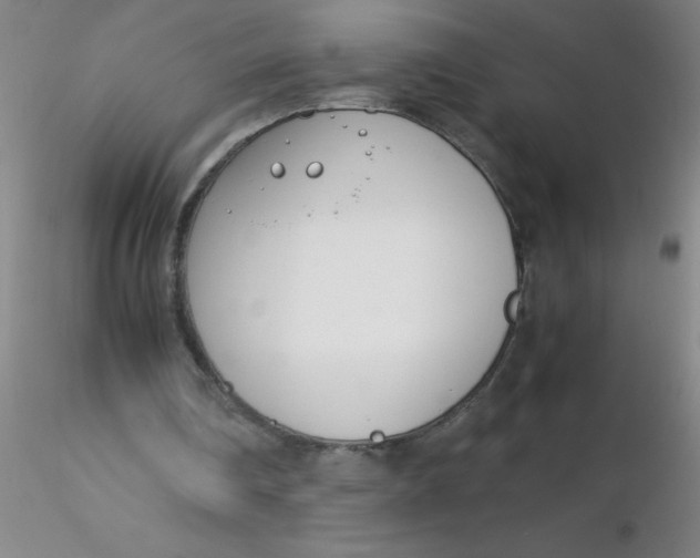 X0000116290290200912211846