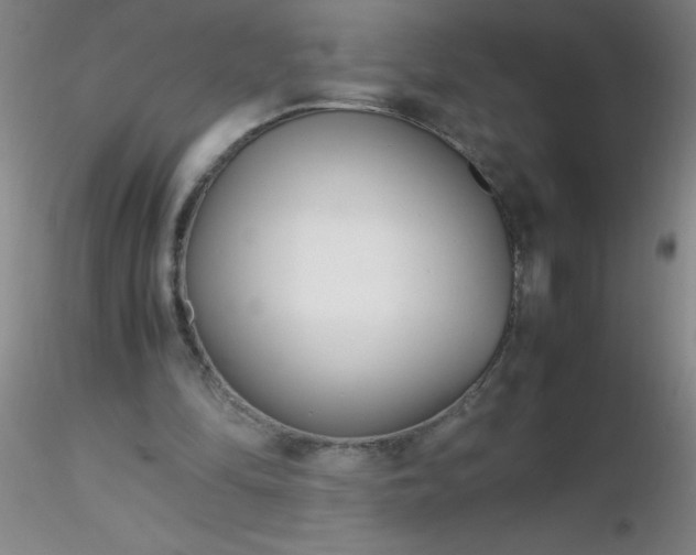 X0000116290294200912211846