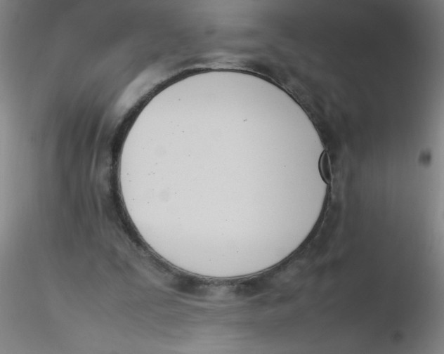 X0000116290295200912211846