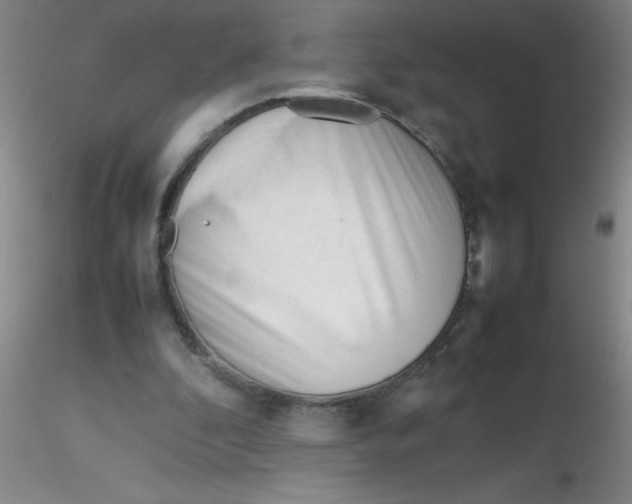 X0000116290296200912211846