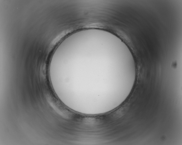 X0000116290298200912211846