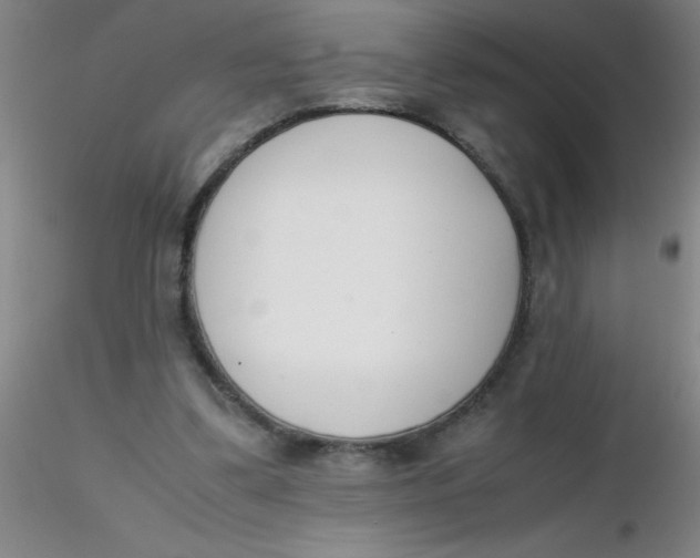 X0000116290299200912211846