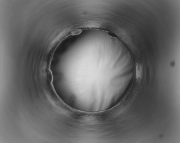 X0000116290300200912211846