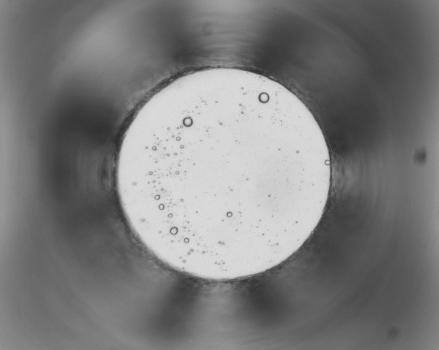 X0000116290301200912211846