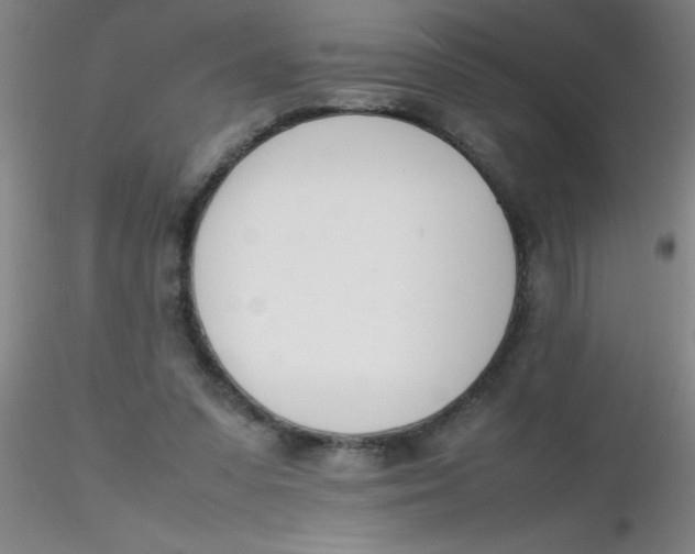 X0000116290303200912211846