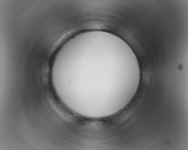 X0000116290304200912211846